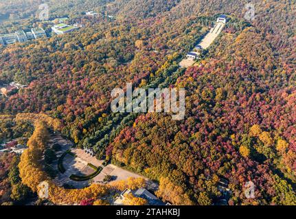 Nanning, Cina. 1 dicembre 2023. Una foto aerea mostra la colorata area panoramica del Mausoleo del Dr. Sun Yat-sen a Nanchino, provincia di Jiangsu, Cina orientale, il 20 novembre 2023. (Foto di Costfoto/NurPhoto) credito: NurPhoto SRL/Alamy Live News Foto Stock