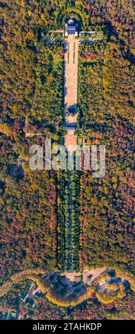 Nanning, Cina. 1 dicembre 2023. Una foto aerea mostra la colorata area panoramica del Mausoleo del Dr. Sun Yat-sen a Nanchino, provincia di Jiangsu, Cina orientale, il 20 novembre 2023. (Foto di Costfoto/NurPhoto) credito: NurPhoto SRL/Alamy Live News Foto Stock