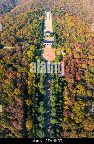 Nanning, Cina. 1 dicembre 2023. Una foto aerea mostra la colorata area panoramica del Mausoleo del Dr. Sun Yat-sen a Nanchino, provincia di Jiangsu, Cina orientale, il 20 novembre 2023. (Foto di Costfoto/NurPhoto) credito: NurPhoto SRL/Alamy Live News Foto Stock