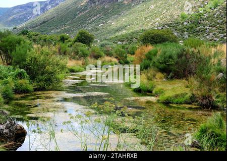 Fiume Zezere a Serra da Estrela, Portogallo. Foto Stock