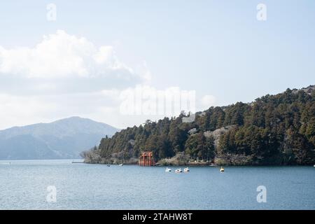 Porta torii per il Santuario Hakone sulla riva del Lago Ashinoko, Hakone, Giappone. Preso a bordo del battello Pirata di Hakone. Foto Stock