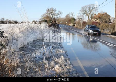 A68 Road, Bishop Auckland, County Durham, Regno Unito. 1 dicembre 2023. Meteo Regno Unito. Mentre le temperature di congelamento continuano, questi cespugli sono stati ricoperti di ghiaccio da spruzzi su una sezione allagata della A68 vicino a Bishop Auckland, contea di Durham, Inghilterra nord-orientale. Crediti: David Forster/Alamy Live News Foto Stock