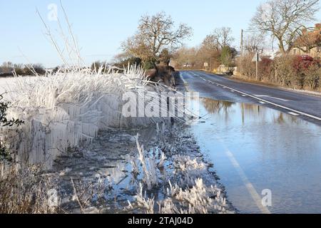 A68 Road, Bishop Auckland, County Durham, Regno Unito. 1 dicembre 2023. Meteo Regno Unito. Mentre le temperature di congelamento continuano, questi cespugli sono stati ricoperti di ghiaccio da spruzzi su una sezione allagata della A68 vicino a Bishop Auckland, contea di Durham, Inghilterra nord-orientale. Crediti: David Forster/Alamy Live News Foto Stock