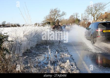 A68 Road, Bishop Auckland, County Durham, Regno Unito. 1 dicembre 2023. Meteo Regno Unito. Mentre le temperature di congelamento continuano, questi cespugli sono stati ricoperti di ghiaccio da spruzzi su una sezione allagata della A68 vicino a Bishop Auckland, contea di Durham, Inghilterra nord-orientale. Crediti: David Forster/Alamy Live News Foto Stock