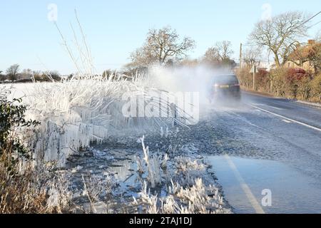 A68 Road, Bishop Auckland, County Durham, Regno Unito. 1 dicembre 2023. Meteo Regno Unito. Mentre le temperature di congelamento continuano, questi cespugli sono stati ricoperti di ghiaccio da spruzzi su una sezione allagata della A68 vicino a Bishop Auckland, contea di Durham, Inghilterra nord-orientale. Crediti: David Forster/Alamy Live News Foto Stock