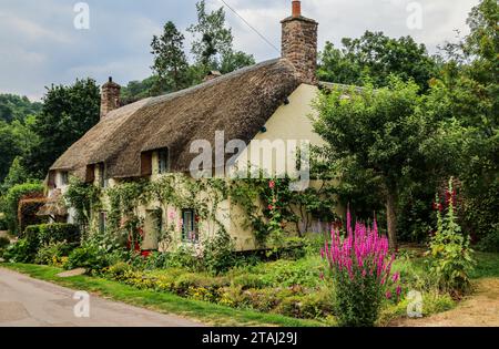 Cottage con tetto in paglia e giardino a Dunster, Somerset, Inghilterra Foto Stock