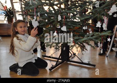 Berlino, Germania. 1 dicembre 2023. Scolari di Selb, Baviera, decorano l'albero di Natale presso l'ambasciata ceca a Berlino, avviata dal deputato federale Jorg Nurnberger (non vista) come parte della promozione dei legami di confine ceco-tedesco, il 1° novembre 2023. Crediti: Zapotocky Ales/CTK Photo/Alamy Live News Foto Stock