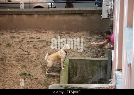 Il proprietario dà da mangiare al suo cane dalla finestra dell'appartamento Foto Stock