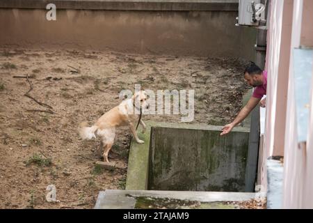 Il proprietario dà da mangiare al suo cane dalla finestra dell'appartamento Foto Stock