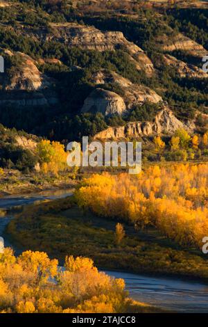 Little Missouri River da Oxbow Overlook, Theodore Roosevelt National Park-North Unit, North Dakota Foto Stock