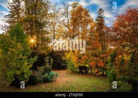 DE - BAVARIA: Giardino autunnale nel tardo pomeriggio lungo il fiume Isar, Bad Toelz, Oberbayern Foto Stock