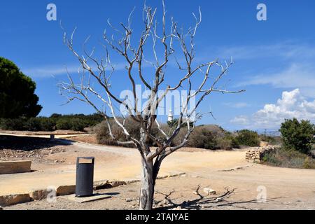 Paphos, Cipro - 2 ottobre 2023: Parco archeologico di Kato Paphos - un sito patrimonio dell'umanità dell'UNESCO, Paphos alias Pafos è stata capitale europea della cultura Foto Stock