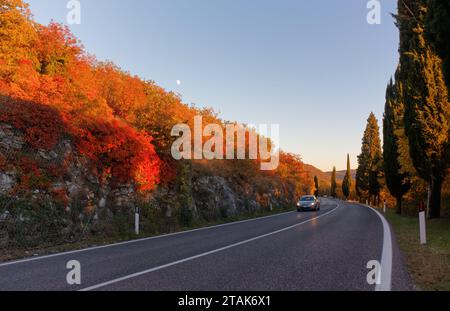 Colori autunnali al tramonto sulla strada che collega Trieste a Gorizia, Italia Foto Stock