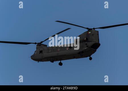 CH-47 Chinook al Dubai Air Show 2023 a Dubai, Emirati Arabi Uniti Foto Stock