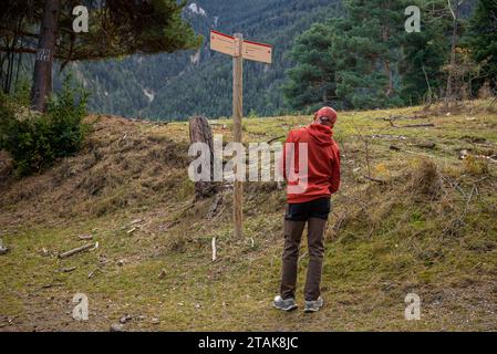 Percorso - itinerario della foresta di abeti Riu, dal Serrat de les Esposes, nella catena montuosa del Moixeró (Cerdanya, Catalogna, Spagna, Pirenei) Foto Stock