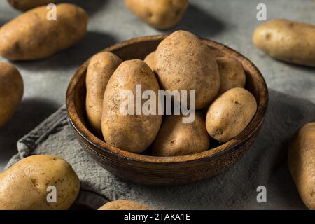 Patate ruvide biologiche dell'Idaho in una ciotola Foto Stock