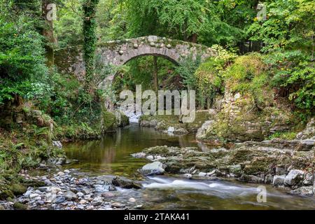 Immagine autunnale del Foley's Bridge, costruito nel 1787, situato nel Tolleymore Forest Park nell'Irlanda del Nord. Foto Stock