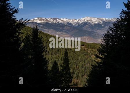 Percorso - itinerario della foresta di abeti Riu, dal Serrat de les Esposes, nella catena montuosa del Moixeró (Cerdanya, Catalogna, Spagna, Pirenei) Foto Stock