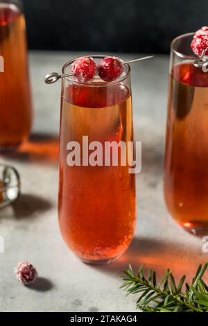Frizzante e frizzante mimosa di mirtilli rossi con champagne Foto Stock