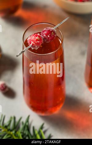 Frizzante e frizzante mimosa di mirtilli rossi con champagne Foto Stock