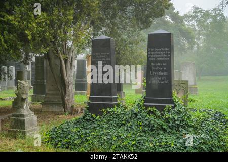 Grabsteine, Jüdischer Friedhof, Helbigstraße, Schwedt, Landkreis Uckermark, Brandeburgo, Deutschland Foto Stock