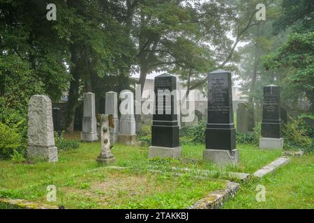 Grabsteine, Jüdischer Friedhof, Helbigstraße, Schwedt, Landkreis Uckermark, Brandeburgo, Deutschland Foto Stock