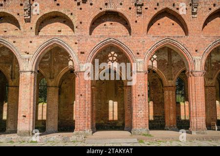 Innenhof, Hauptschiff Klosterkirche, Kloster Chorin, Landkreis Barnim, Brandeburgo, Deutschland *** cortile interno, navata della chiesa del monastero, Monastero di Chorin, distretto di Barnim, Brandeburgo, Germania credito: Imago/Alamy Live News Foto Stock