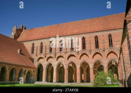 Innenhof, Hauptschiff Klosterkirche, Kloster Chorin, Landkreis Barnim, Brandeburgo, Deutschland *** cortile interno, navata della chiesa del monastero, Monastero di Chorin, distretto di Barnim, Brandeburgo, Germania credito: Imago/Alamy Live News Foto Stock