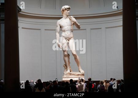 David è un capolavoro della scultura rinascimentale italiana, creata dal 1501 al 1504 da Michelangelo. Foto Stock