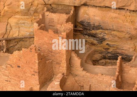 Torre quadrata House, Mesa Verde National Park, COLORADO Foto Stock