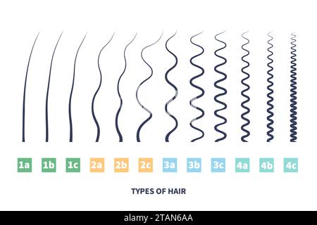 Tipi di capelli, illustrazione concettuale Foto Stock