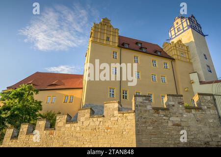 Altes Haus, Blauer Turm, Schloss, Bernburg, Salzlandkreis, Sachsen-Anhalt, Deutschland Foto Stock