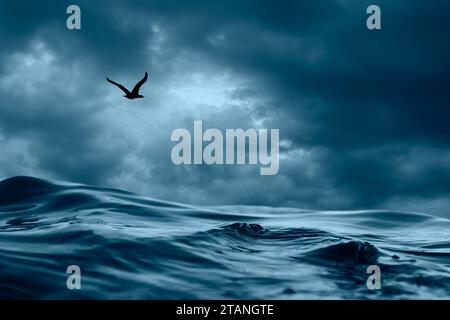 un gabbiano che vola sopra le onde dell'oceano, sopra il cielo tempestoso Foto Stock