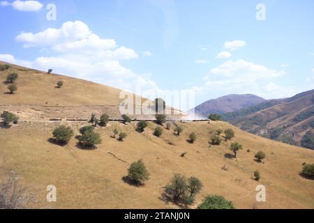 I pastori del Kirghizistan portano le loro capre e pecore in alti altopiani attraverso la strada, il Kirghizistan, l'Asia centrale Foto Stock