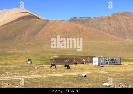 20 agosto 2023 - Kirghizistan in Asia centrale: Gente che munge il mare per ottenere latte per i kumis al passo Ala-bel Foto Stock