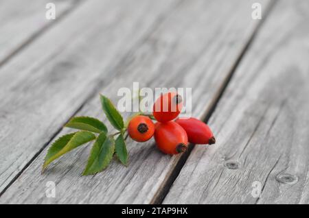 Fianchi rossi maturi con foglie verdi su un vecchio tavolo di legno. Piante medicinali ed erbe. Foto Stock
