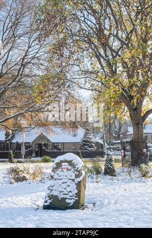 Vista invernale del verde del villaggio di Washington con lo stemma della famiglia Washington in primo piano, Tyne and Wear, Inghilterra, Regno Unito Foto Stock