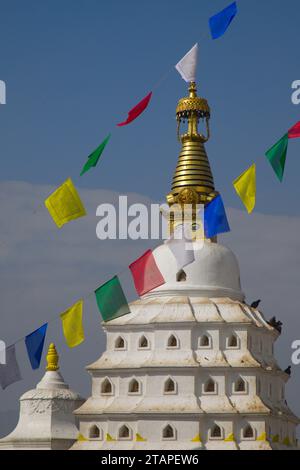 Nepal, valle di Kathmandu, Swayambhunath, santuario buddista, Foto Stock