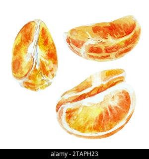 Verniciare di frutta d'arancia con foglie. Elementi disegnati a mano ad acquerello. Isolato su sfondo bianco. Deliziosa illustrazione clip-art di frutta. Utilizzato sulle etichette Foto Stock