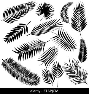 Estate tropical Palm tree lascia seamless pattern. Vector grunge design per schede, web, sfondi e prodotto naturale. Illustrazione Vettoriale