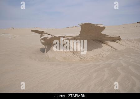 Le dune fossili di al Wathba, le meraviglie dell'arenaria intagliata dal vento, la meraviglia artistica della natura nella sabbia e nel calcio. Abu Dhabi, Emirati Arabi Uniti Foto Stock
