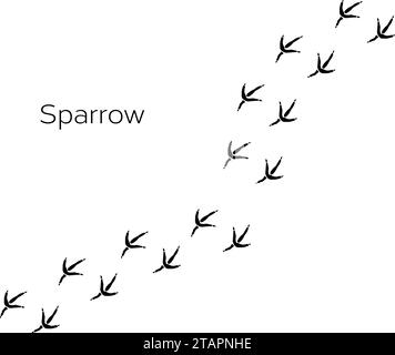 Impronta Sparrow, illustrazione di icone vettoriali, impronta di zampe di animali isolata su sfondo bianco Illustrazione Vettoriale