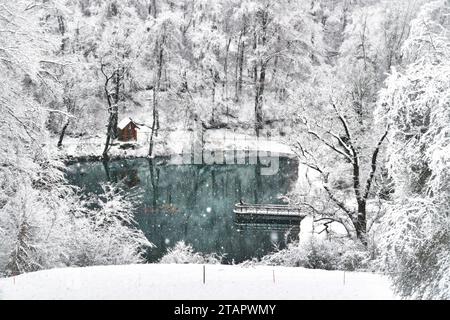 Hermitage, Arlesheim, Svizzera, Baselland, Baselbiet, stagno, inverno, neve, Birseck Foto Stock
