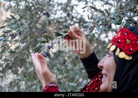 Ritratto di una donna che indossa abiti tradizionali palestinesi in un campo di olivi che tiene un ramo in mano con un sorriso sul viso Foto Stock