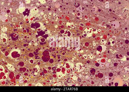 Astratto creativo marbling modello templat per tessuto, design sfondo texture Foto Stock