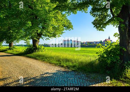 Torgau City silhouette vista da est Foto Stock