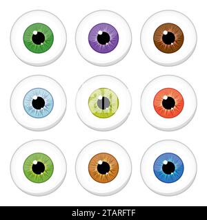 Occhi umani isolati su sfondo bianco. Occhi colorati iride pupille illustrazione vettoriale Illustrazione Vettoriale