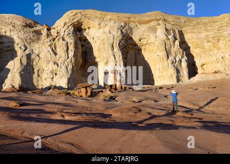 Toadstool Hoodoos insolite formazioni rocciose nello Utah, Escalante National Monument., Utah, USA. Foto Stock