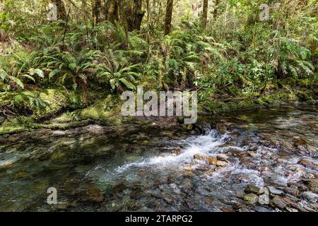 Vista sulle montagne e sui ruscelli da un'escursione lungo il tragitto verso Milford Sound Foto Stock