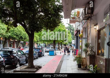 Batumi, Georgia - 17 settembre 2023: Veduta di Demeter Tavdadebuli Street nella città di Batumi il giorno d'autunno Foto Stock